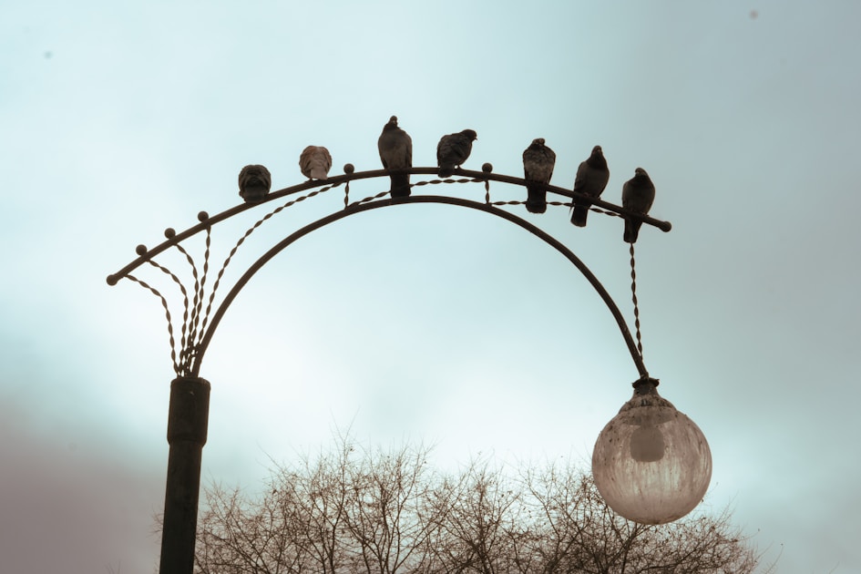 Flygresor och flygbiljetter till Abakan