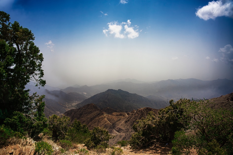 a landscape with trees and mountains