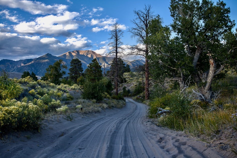 Flygresor och flygbiljetter till Alamosa