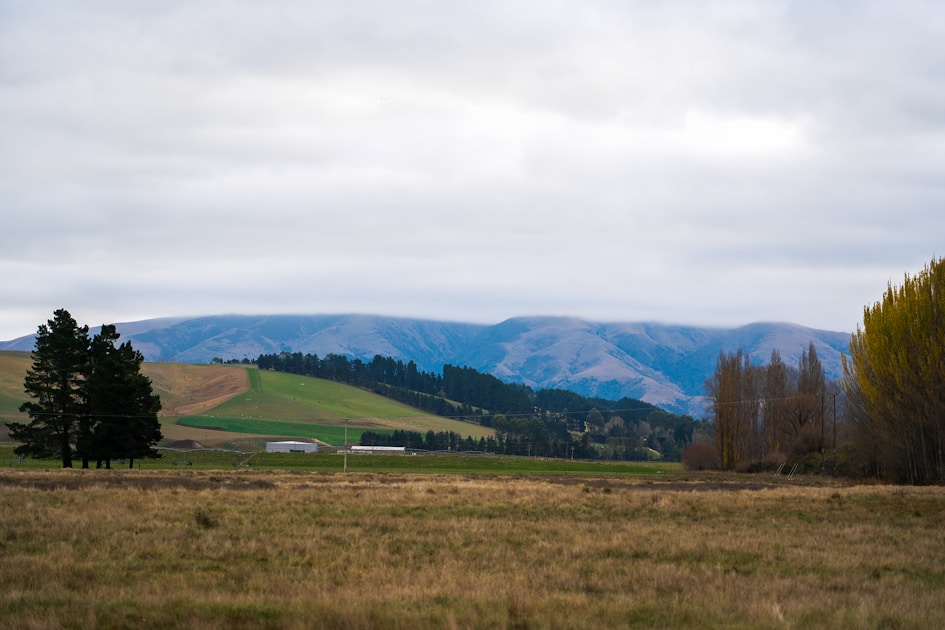 Flygresor och flygbiljetter till Albury