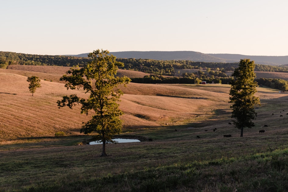 Flygresor och flygbiljetter till Alpena