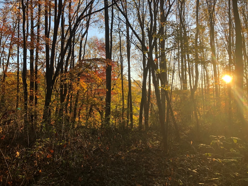 Flygresor och flygbiljetter till Beckley