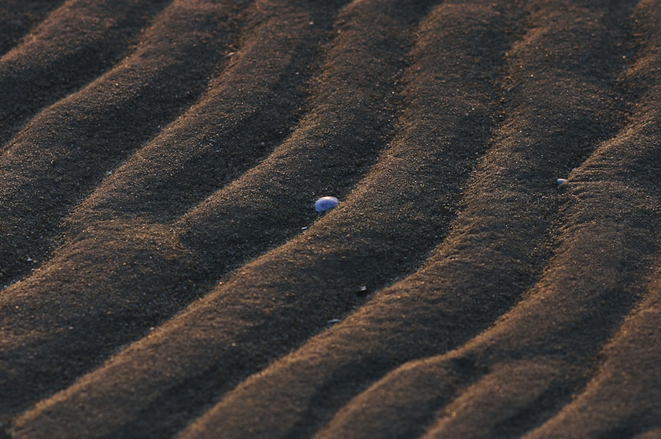 Flygresor och flygbiljetter till Beihai