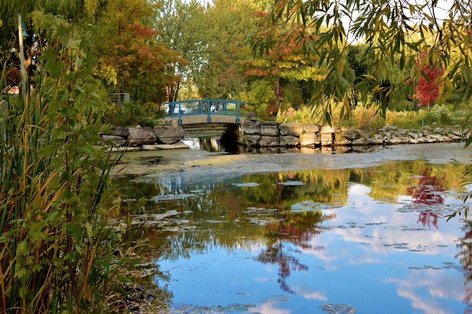 green and white boat on river
