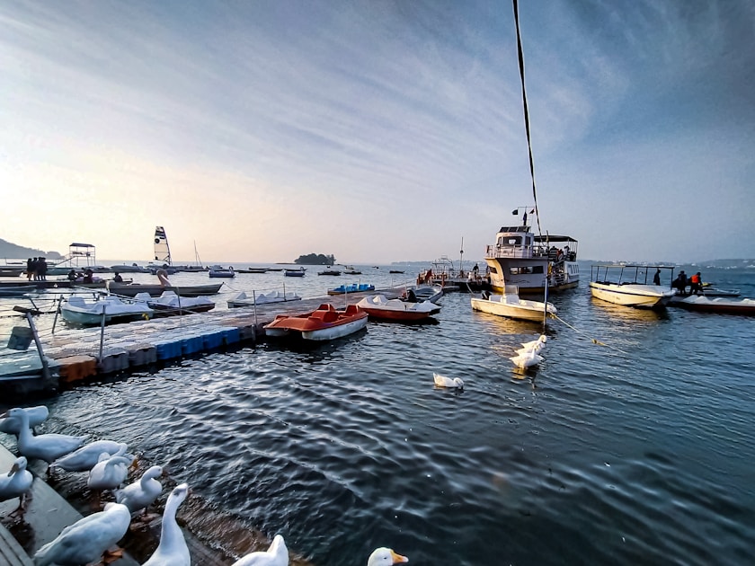 Flygresor och flygbiljetter till Bhopal