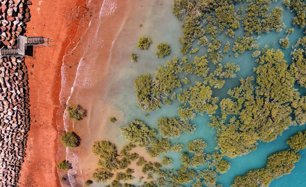 an aerial view of a beach with a windmill in the distance
