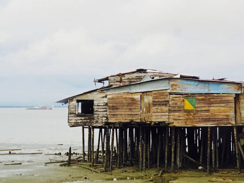 brown wooden house on sea shore during daytime