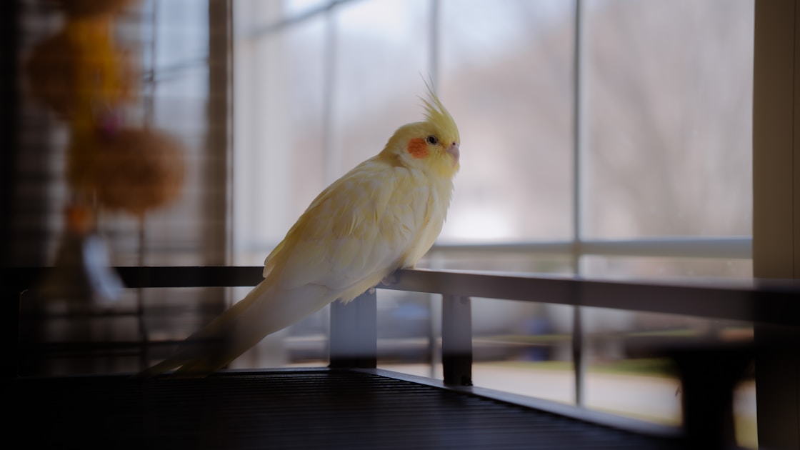 Flygresor och flygbiljetter till Clarksburg