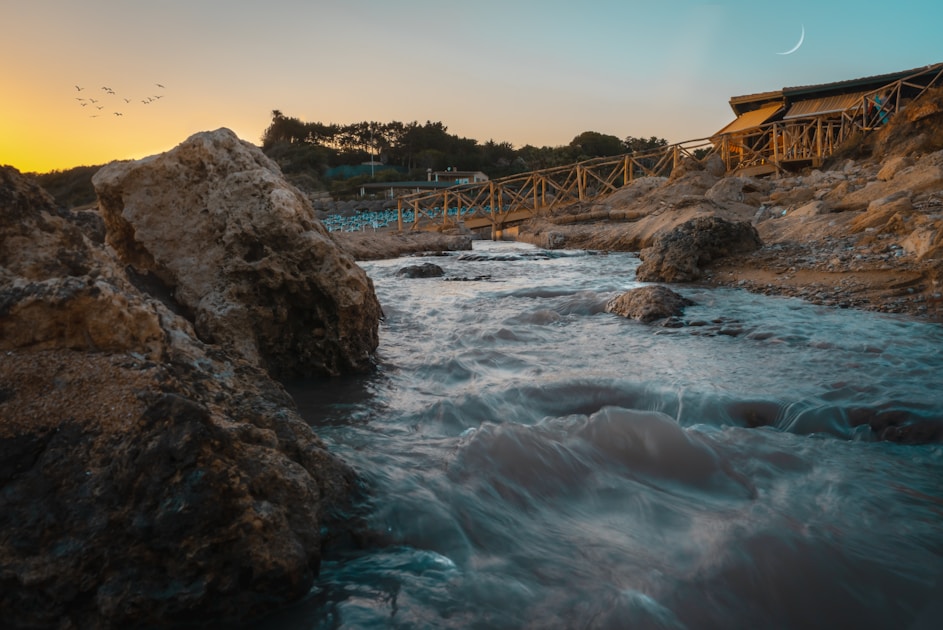 brown wooden bridge over water