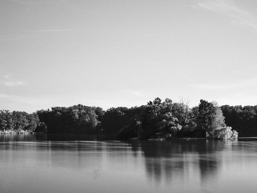 a large body of water surrounded by trees