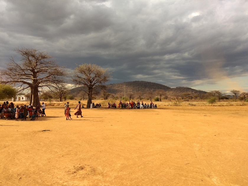people on brown field near trees under cloudy sky during daytime