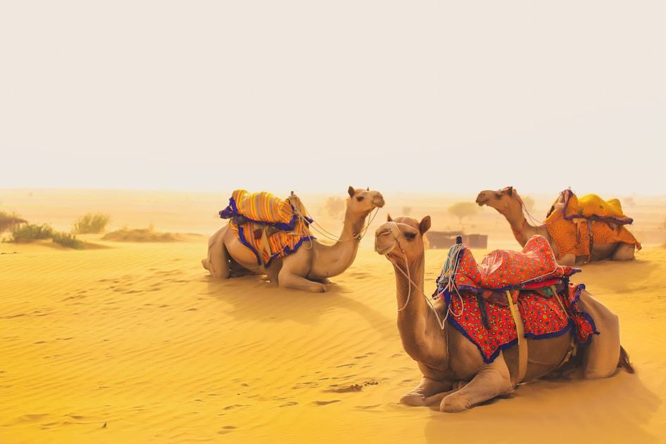 Flygresor och flygbiljetter till Jaisalmer