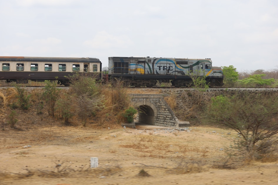 A train traveling through a rural country side