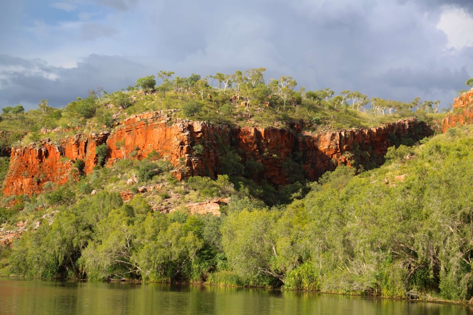 a large body of water surrounded by lush green trees
