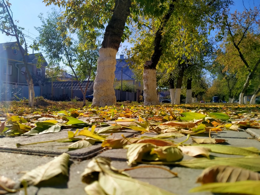 Flygresor och flygbiljetter till Qostanaj