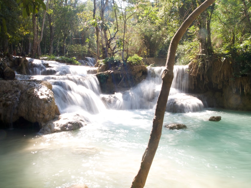 a small waterfall in the middle of a forest
