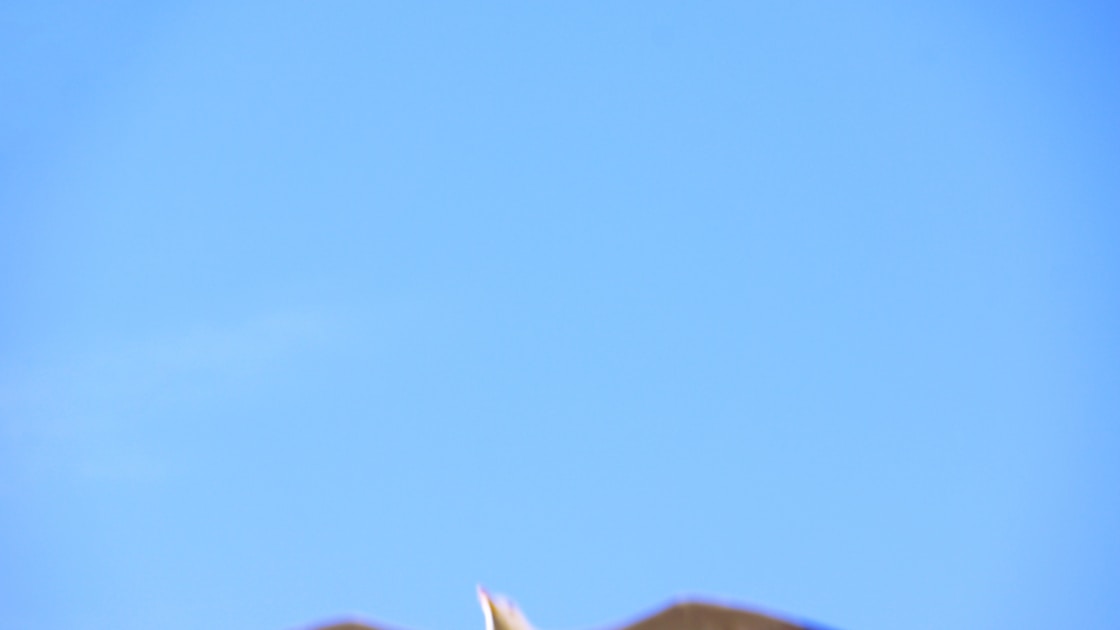 Flygresor och flygbiljetter till Lichinga