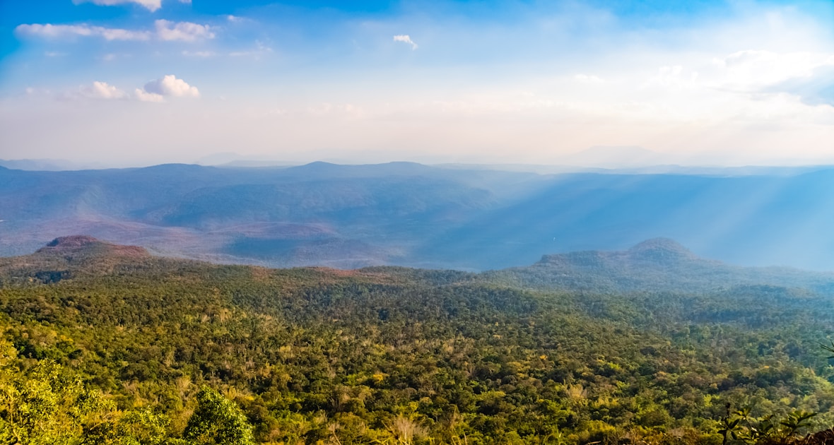 green trees and mountains during daytime
