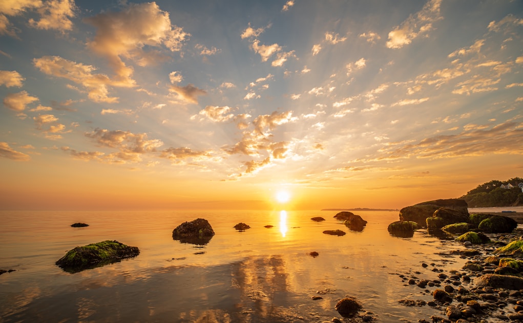 Flygresor och flygbiljetter till Marion