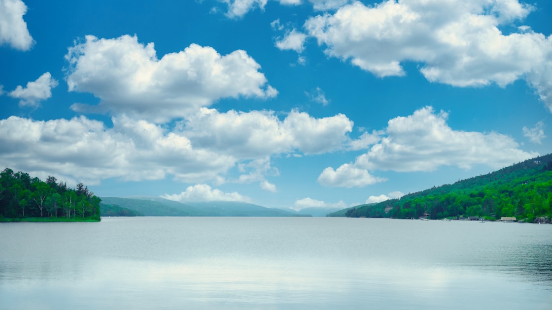A large body of water surrounded by trees