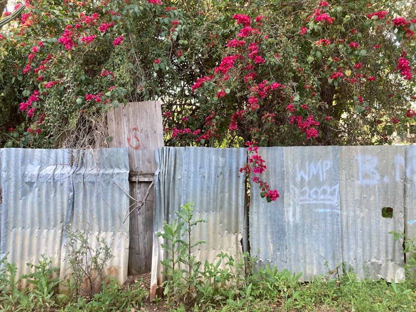 Flygresor och flygbiljetter till Moree