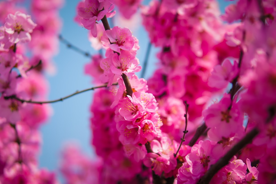 Flygresor och flygbiljetter till Mudanjiang