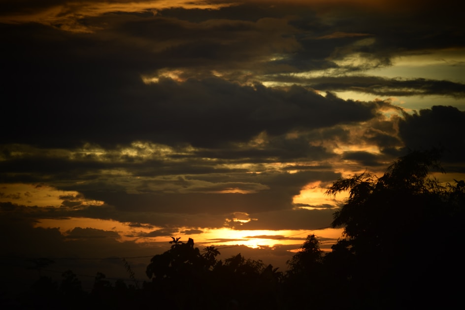 Flygresor och flygbiljetter till Naga