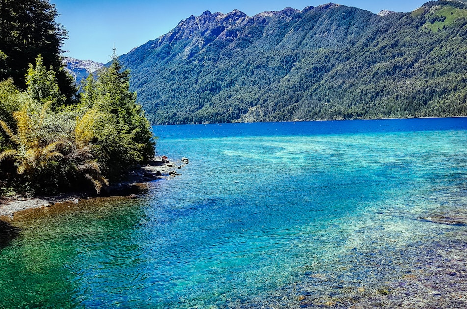 Flygresor och flygbiljetter till Neuquen