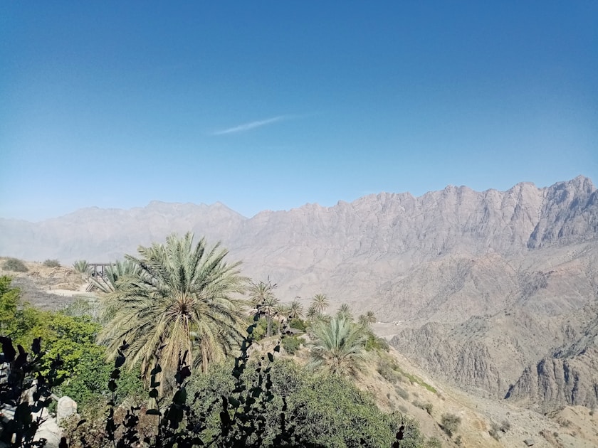 green palm tree near mountain under blue sky during daytime