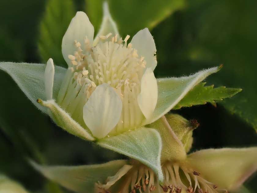 Flygresor och flygbiljetter till Orenburg