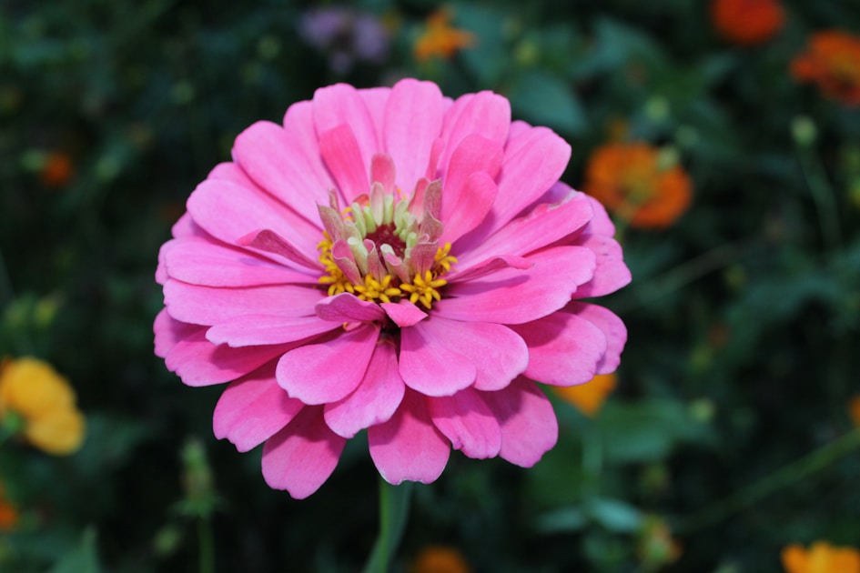 Flygresor och flygbiljetter till Owensboro