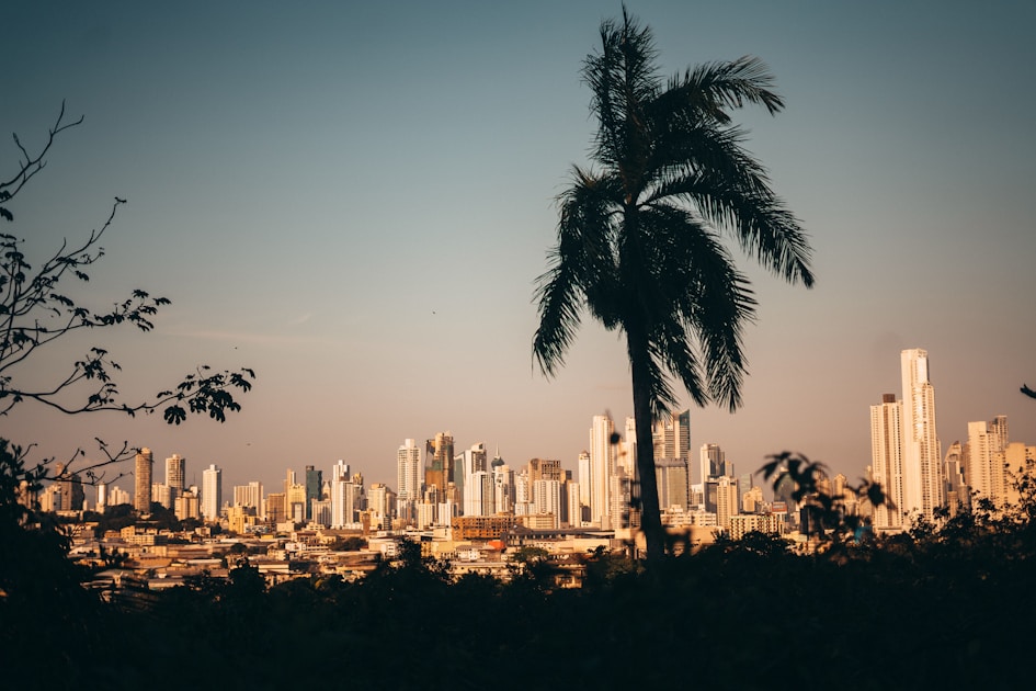 city skyline during day time