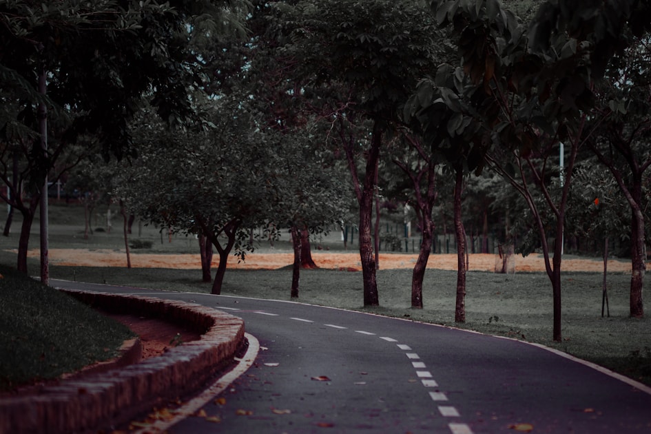 Flygresor och flygbiljetter till Sao Jose Do Rio Preto