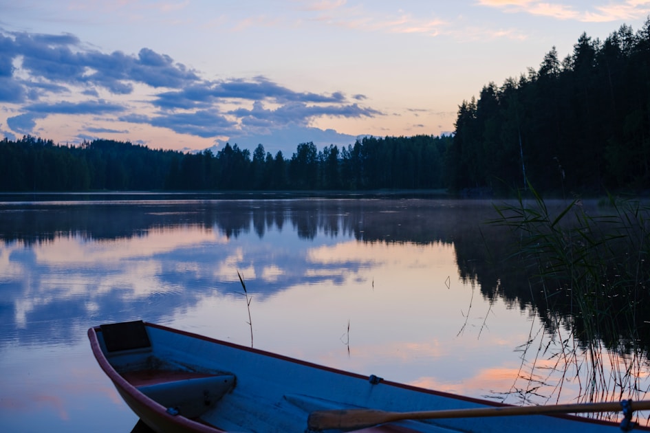 A boat sitting on top of a lake next to a forest