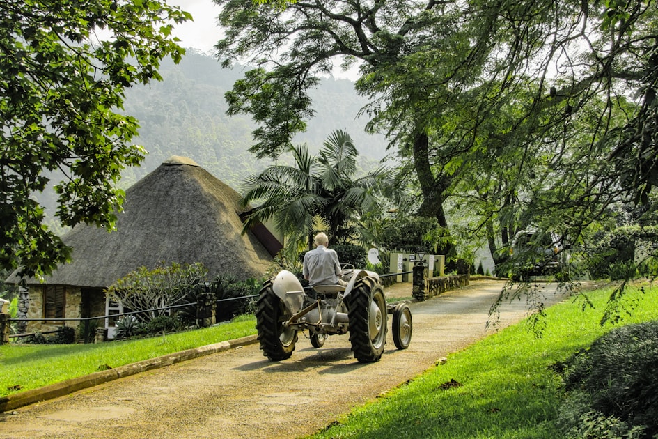 A man drives a tractor down a scenic road.