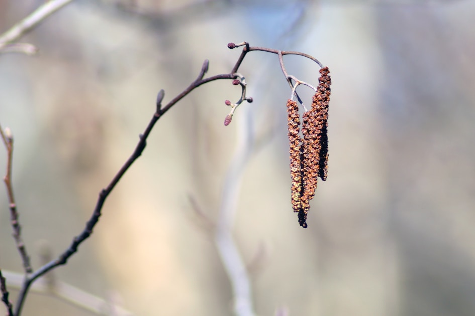 Flygresor och flygbiljetter till Tak