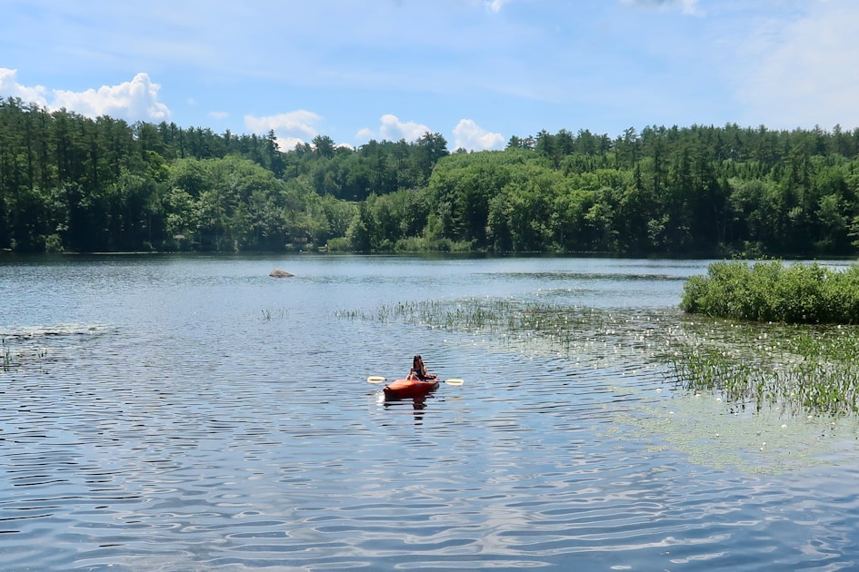 Flygresor och flygbiljetter till Tamworth