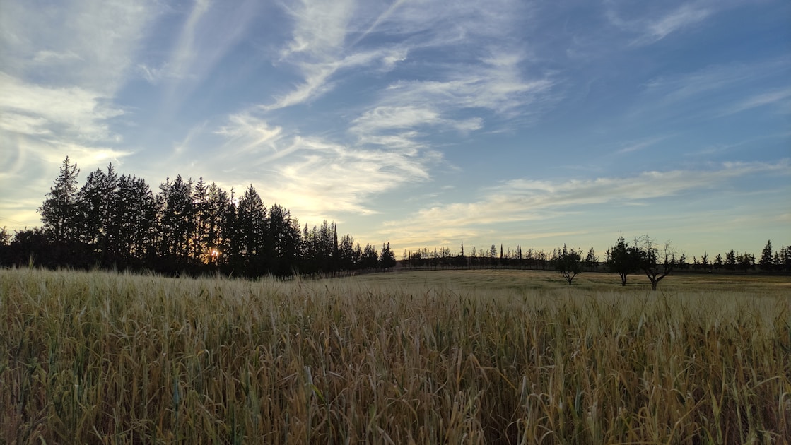 Flygresor och flygbiljetter till Tiaret