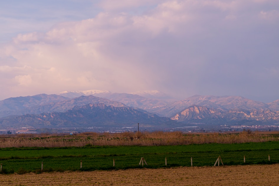 a field with a fence and mountains in the background