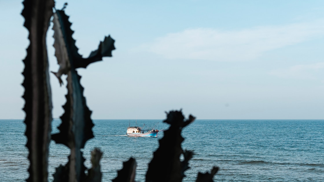 Flygresor och flygbiljetter till Tuy Hoa