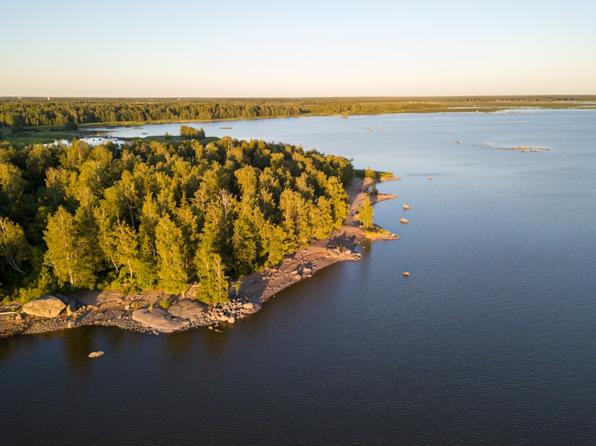 a large body of water surrounded by trees