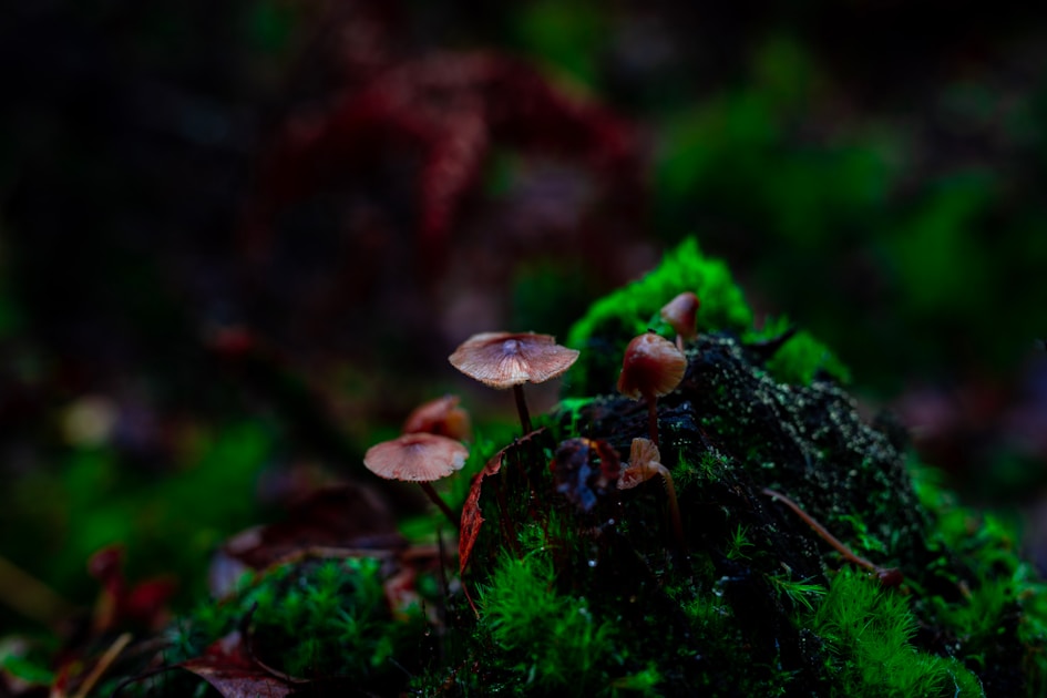 Flygresor och flygbiljetter till Växjö