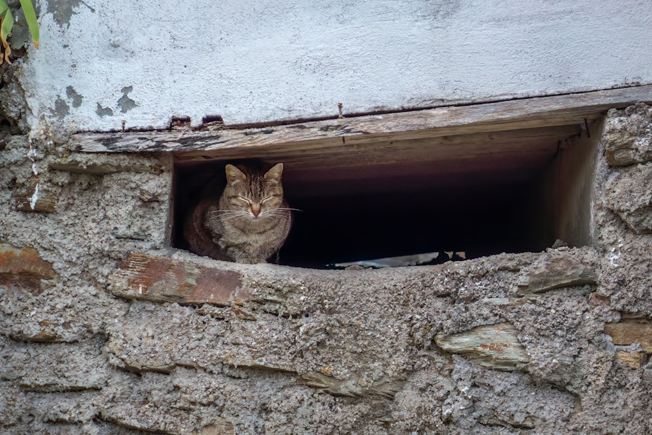 Flygresor och flygbiljetter till Villafranca