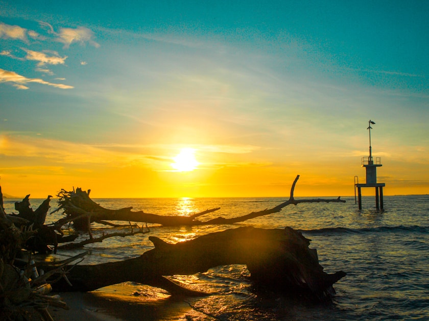 Flygresor och flygbiljetter till Wewak