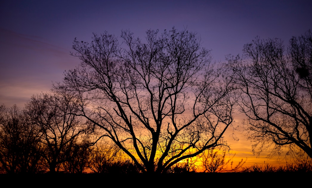 Flygresor och flygbiljetter till Wichita Falls