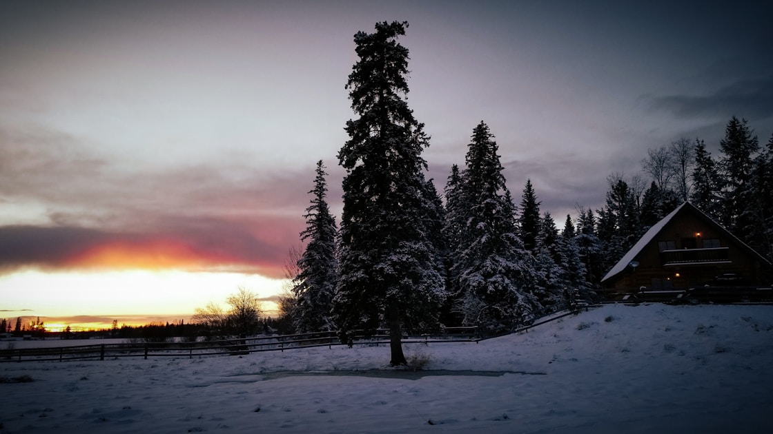 a snowy landscape with trees and a building in the distance