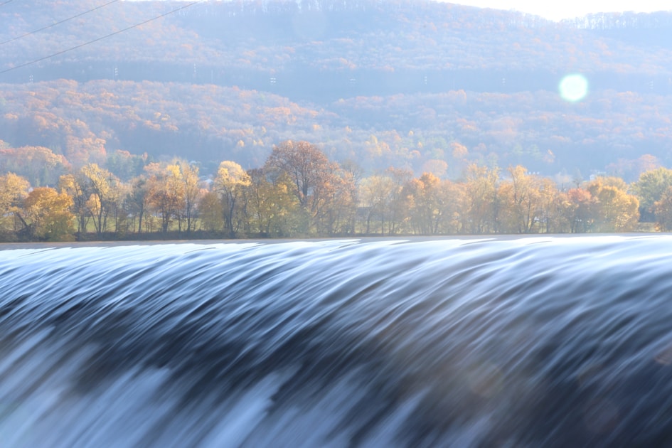 water falls near trees during daytime