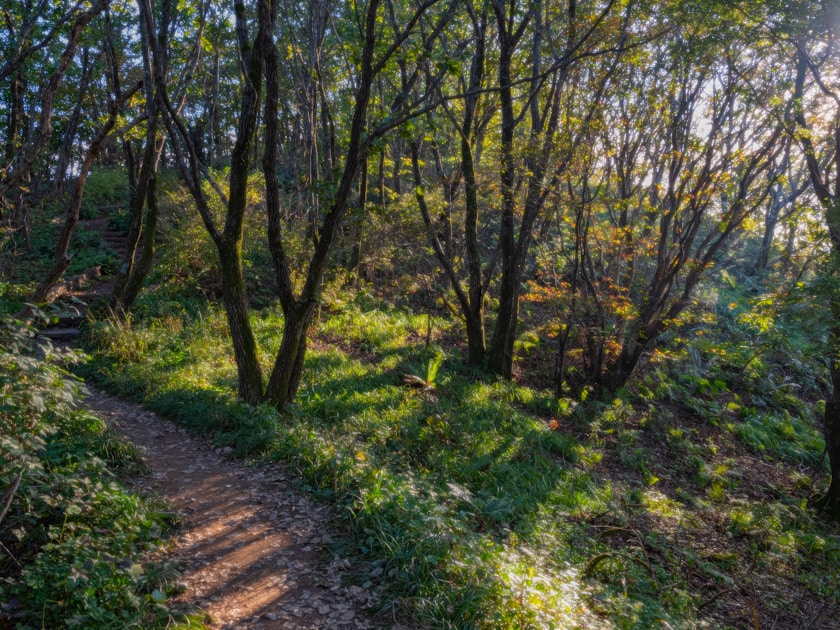 Flygresor och flygbiljetter till Wonju