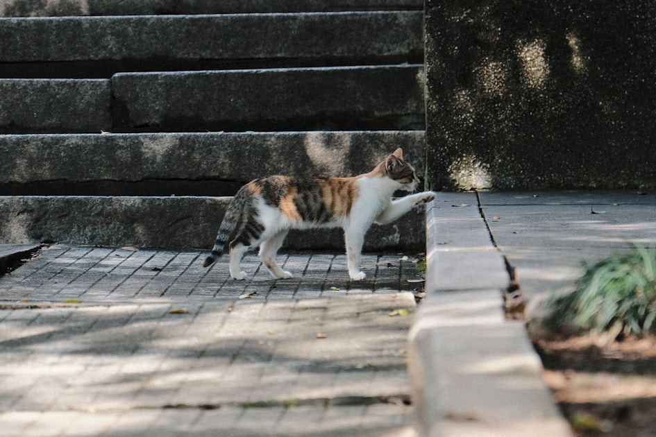 Flygresor och flygbiljetter till Wuzhou